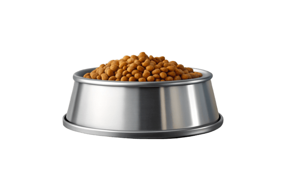 Pet Food Bowl 3D Rendering PNG: A Versatile Design Asset for Creative Professionals